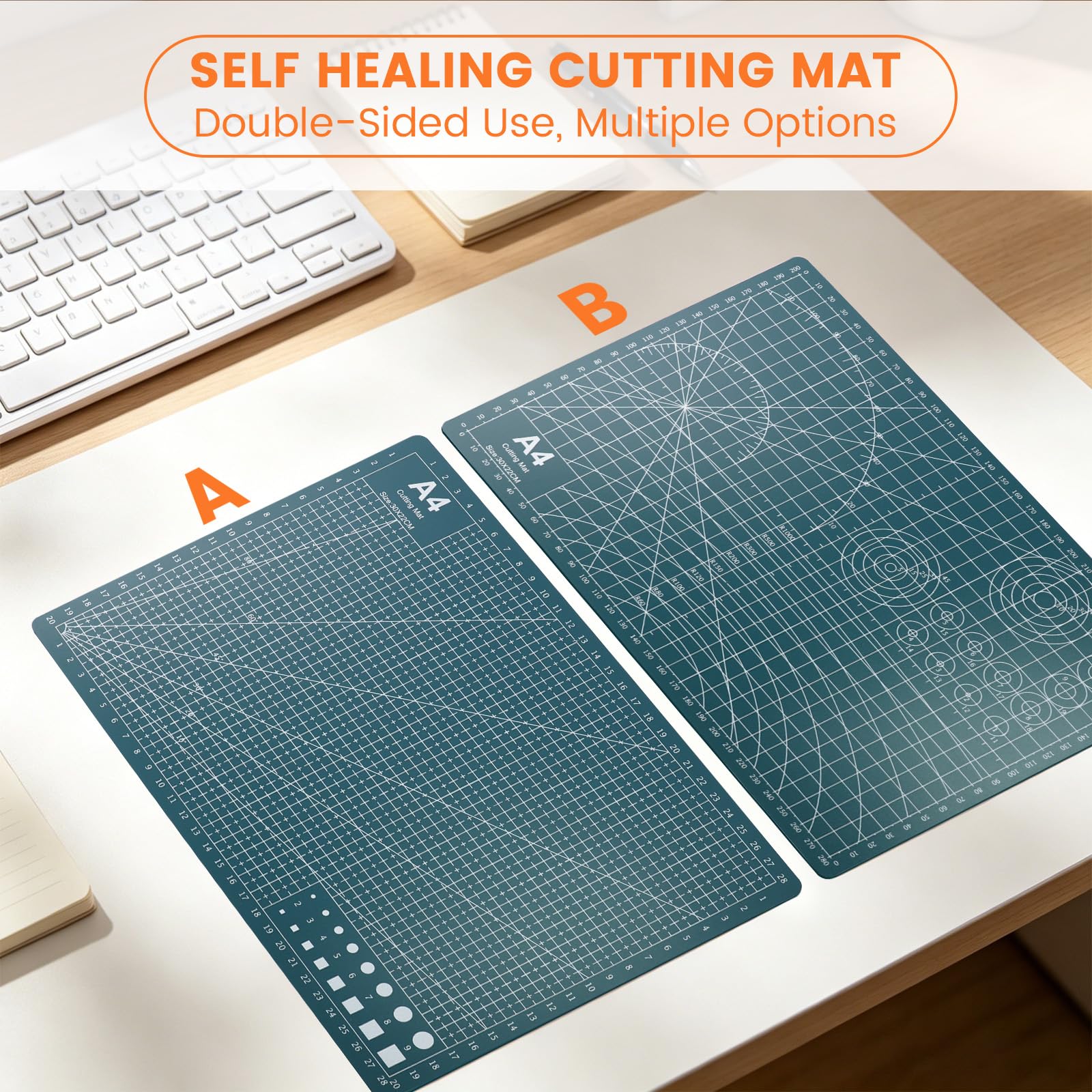 View 3