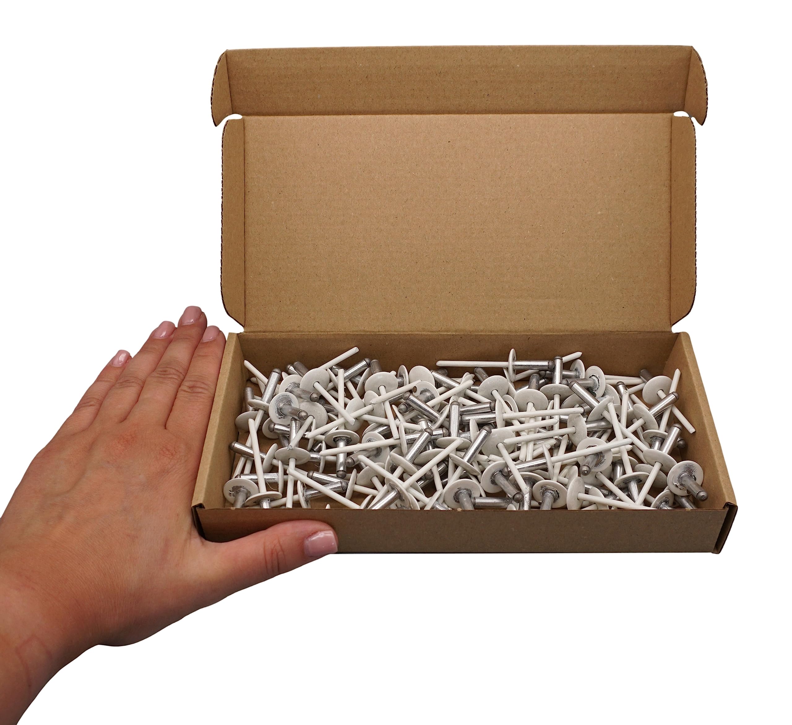 SKIR'CO (100 pcs) Lot de rivets aveugles en aluminium à grande bride 4,8 x 16 mm, mandrin en acier inoxydable, RAL 9010 Blanc pur