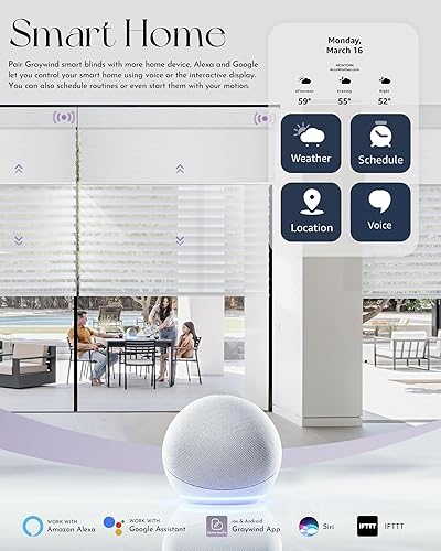 Miniatura 3 de Graywind Persianas dobles motorizadas y opacas inteligentes y Shangrila en un solo juego de persianas automáticas con control remoto Alexa Google,
