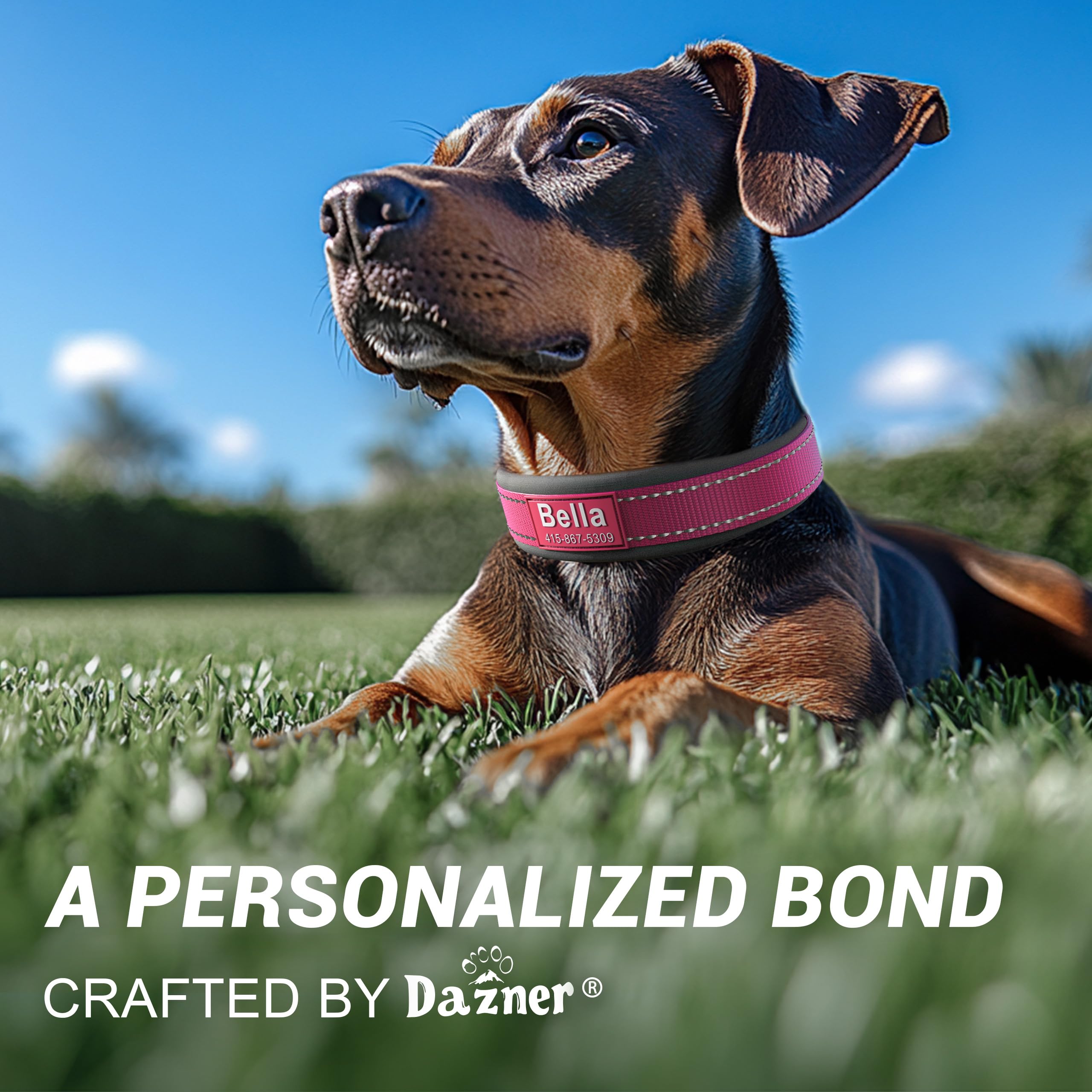 Personalized Dog Collar with Name & Phone Number | Reflective Ultra Wide Soft Neoprene Padded | Durable Metal Buckle for Large, Medium, and Small Dogs in Pink, Purple, Blue & Other Stylish Colors