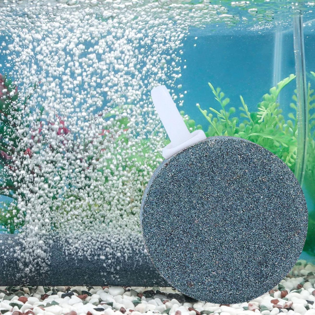 VAYINATO® DK-100 (4 Inch) Grey Air Stone for Aquarium Fish Tank (Motor Not Included), Disc Aquarium Bubble Diffuser Diffuser Air Stone for Hydroponics Air Pump Bucket Small Ponds Reservoir (B0DC6WMCRN) Amazon Price History, Amazon Price Tracker