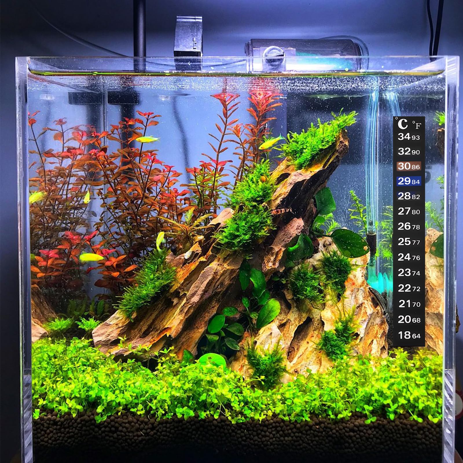 View 6