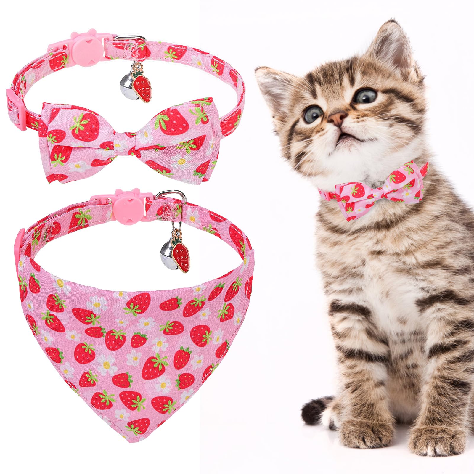 EXPAWLORER Breakaway Cat Collar with Bell