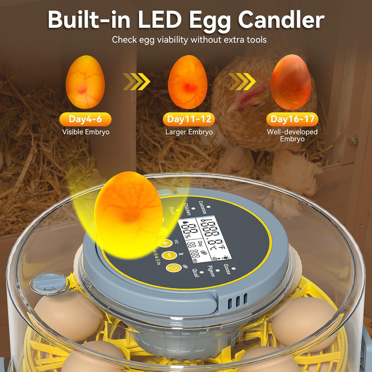 Egg Incubator for Hatching Eggs – 20-Egg Capacity with Automatic Egg Turner, Temperature & Humidity Control, LED Egg Candler, 360° Viewing for Chicken, Duck, Quail & Goose Parrot & Pigeon
