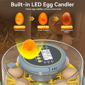 Egg Incubator for Hatching Eggs 20-Egg Capacity with Automatic Egg Turner, Temperature & Humidity Control, LED Egg Candler, 360 Viewing for Chicken, Duck, Quail & Goose Parrot & Pigeon