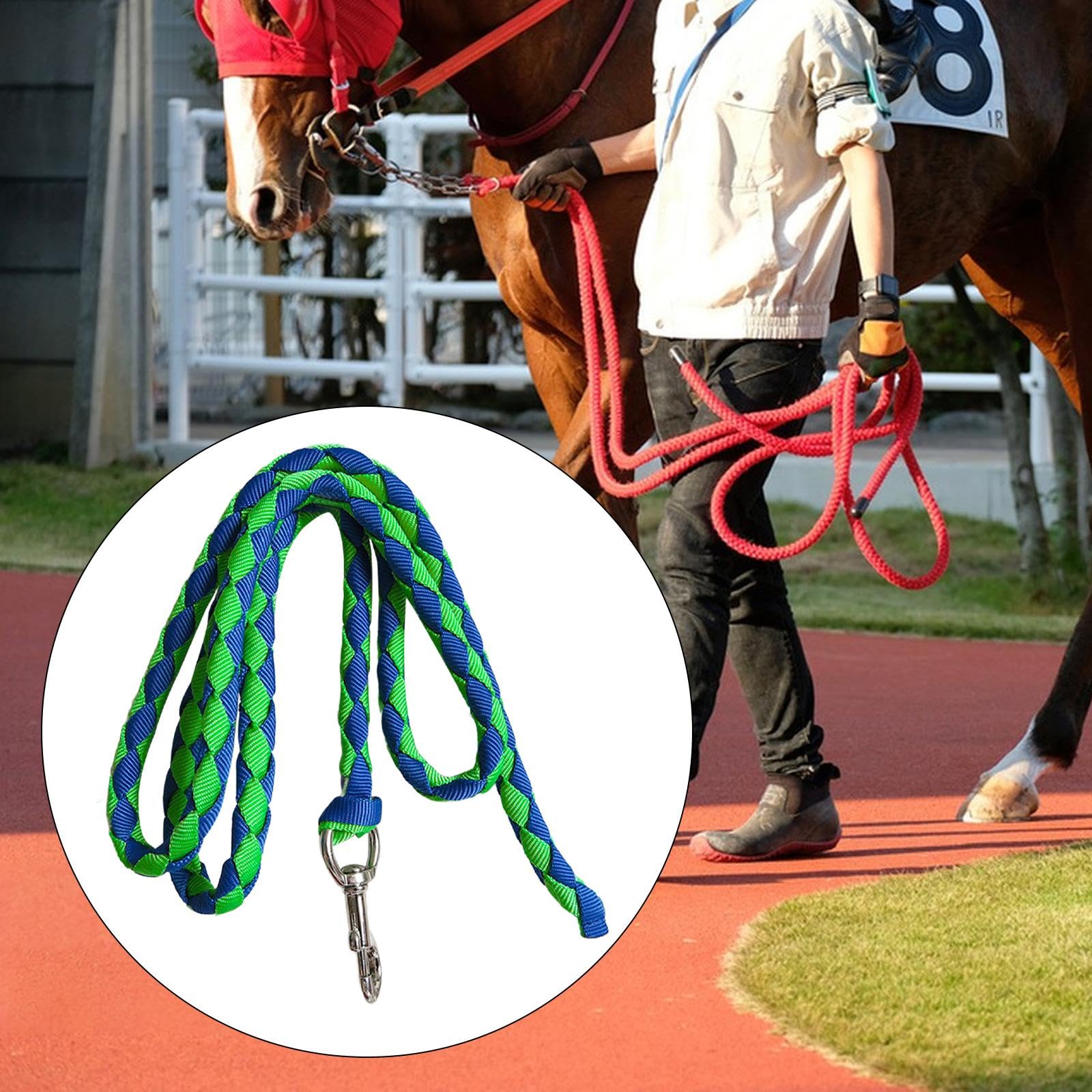 Corda per Cavallo con Attacco a Clip Sicuro, 2.5 m Verde e Blu