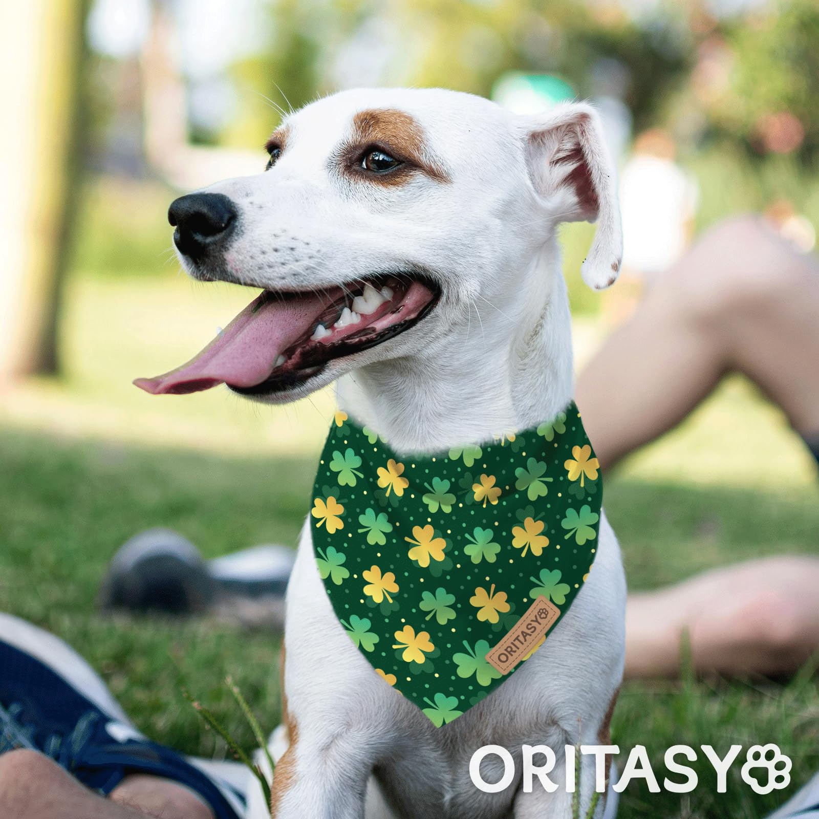 Pañuelos para perros del Día de San Patricio, paquete de 2 bufandas triangulares reversibles para mascotas, tela premium, bandana irlandesa para todos los perros (S, estilo 1)