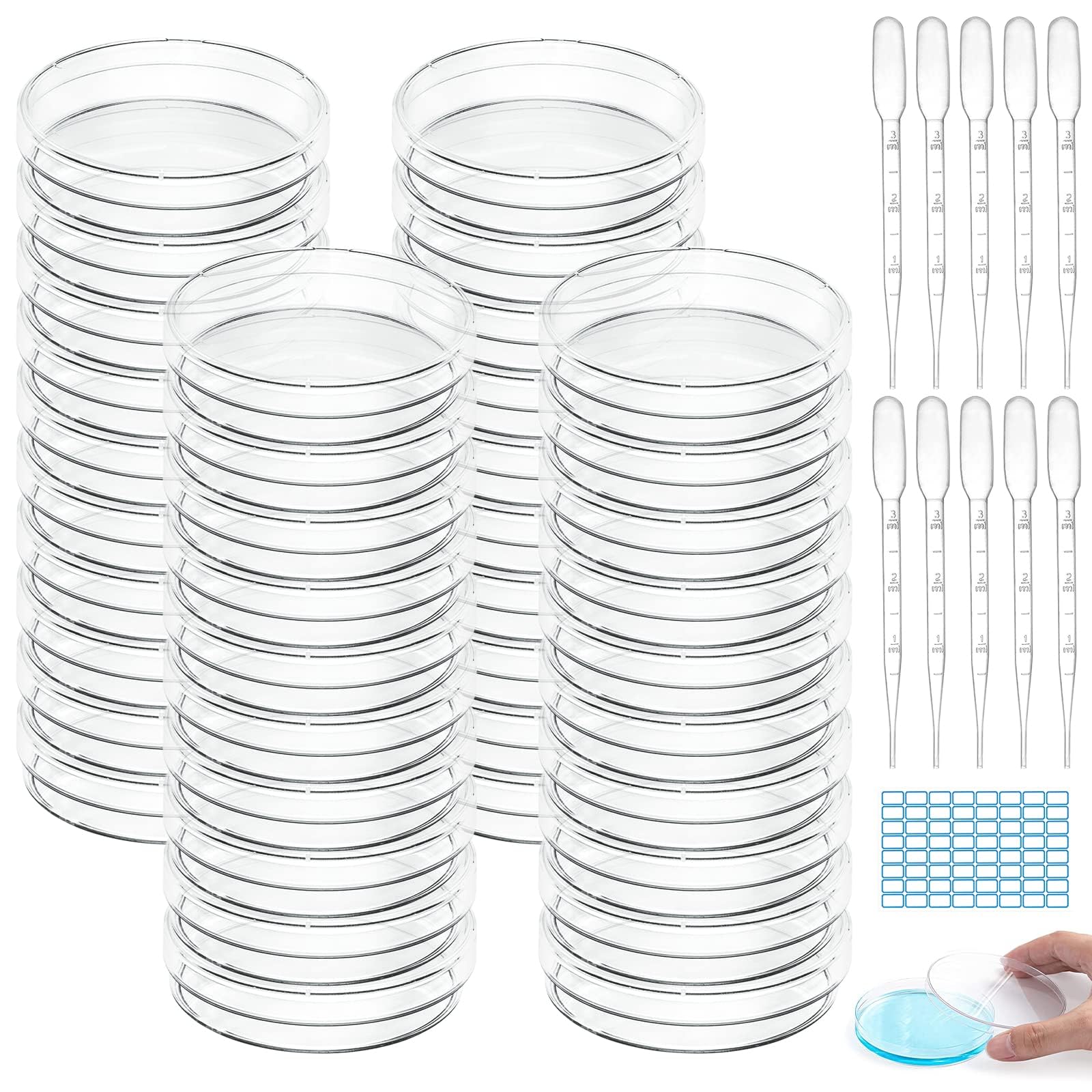 40 ciotole Petri, 55 x 13 mm, in plastica con coperchio, trasparente, sterile, con 10 contagocce in plastica e 1 adesivo, per cultura di laboratorio