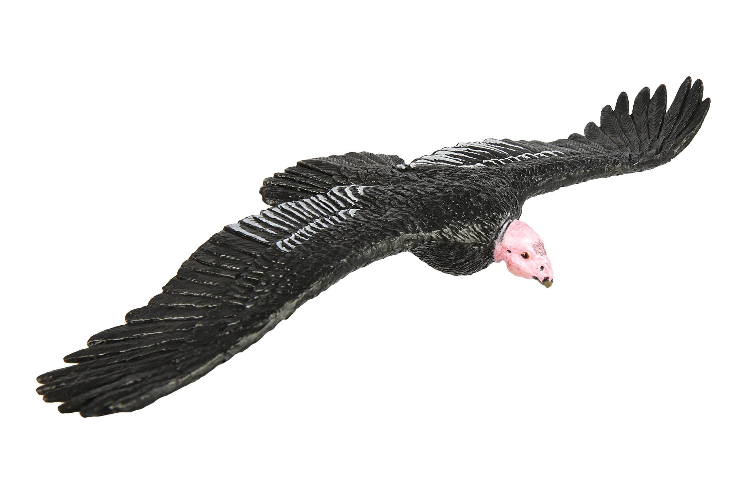 Buy Safari Ltd Wings of the World California Condor Realistic HandPainted Toy Figurine Model