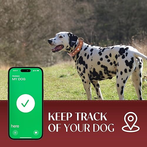 Miniatura 9 de Filbert Collar de cuero para perro con soporte para Airtag, collar seguro mejorado para Airtag de lujo, para perros medianos, cuero, impermeable,