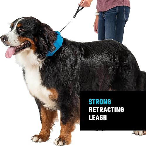 Miniatura 3 de Nite Ize Raddog - Combo de collar y correa todo en uno, collar de perro resistente con correa retráctil incorporada, collar de 20 a 25 pulgadas,