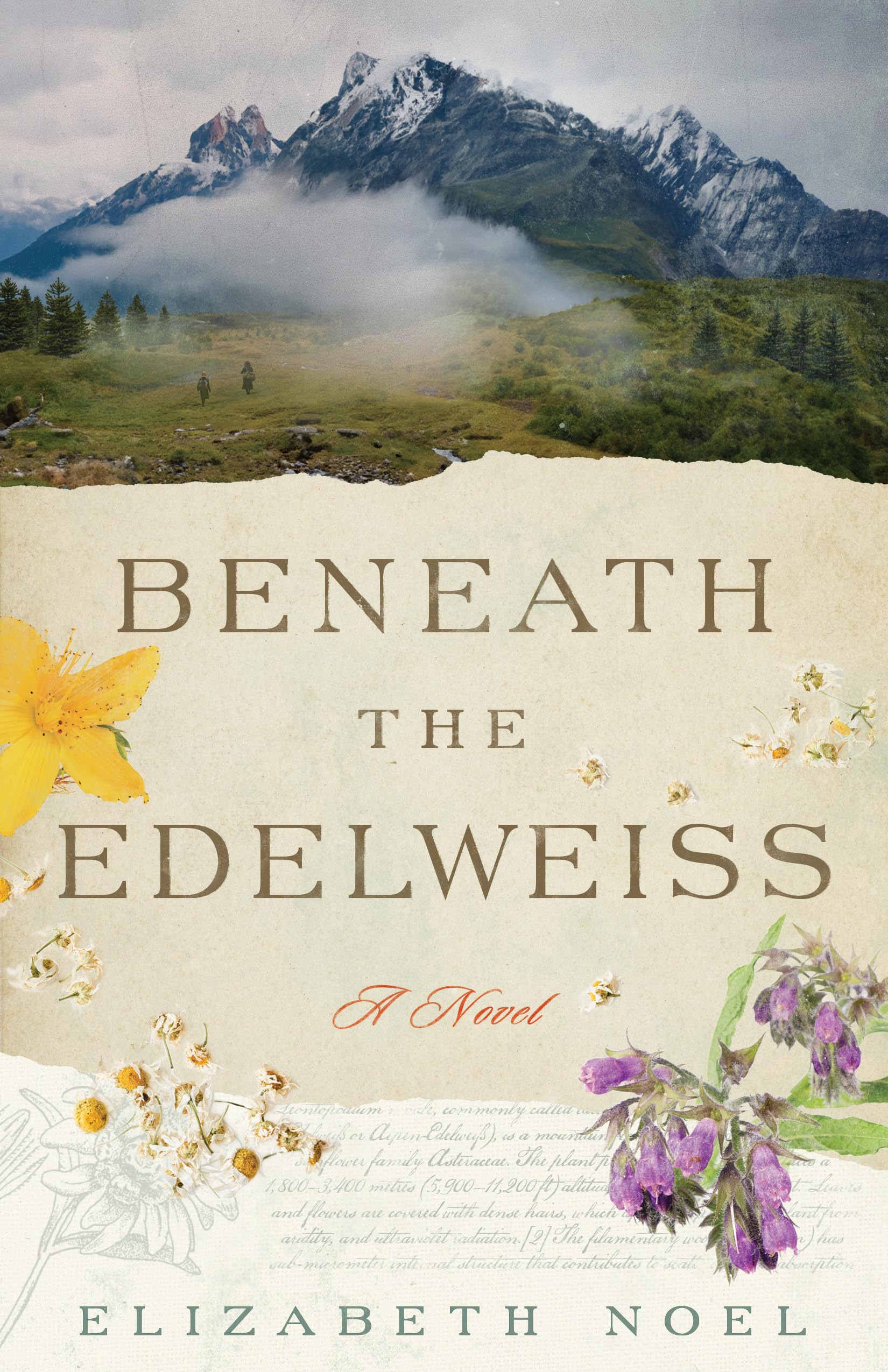 Beneath the Edelweiss: A Novel