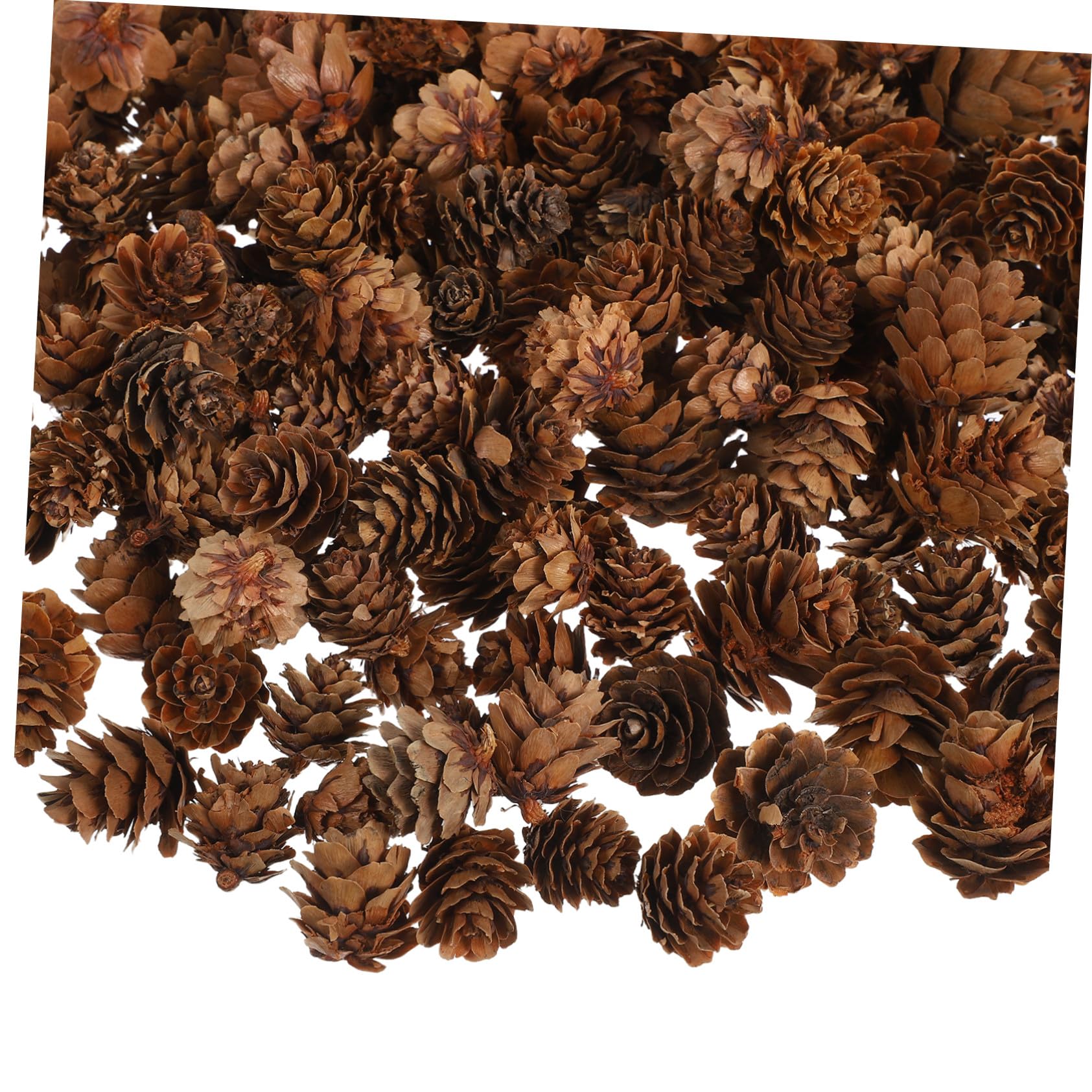 Mini Tannenzapfen Weihnachtsbaumschmuck Natürliche Kleine Zapfen Für DIY Basteln Rustikale Herbst Weihnachtsdeko Mit Wiederverwendbarer Natürlicher Textur