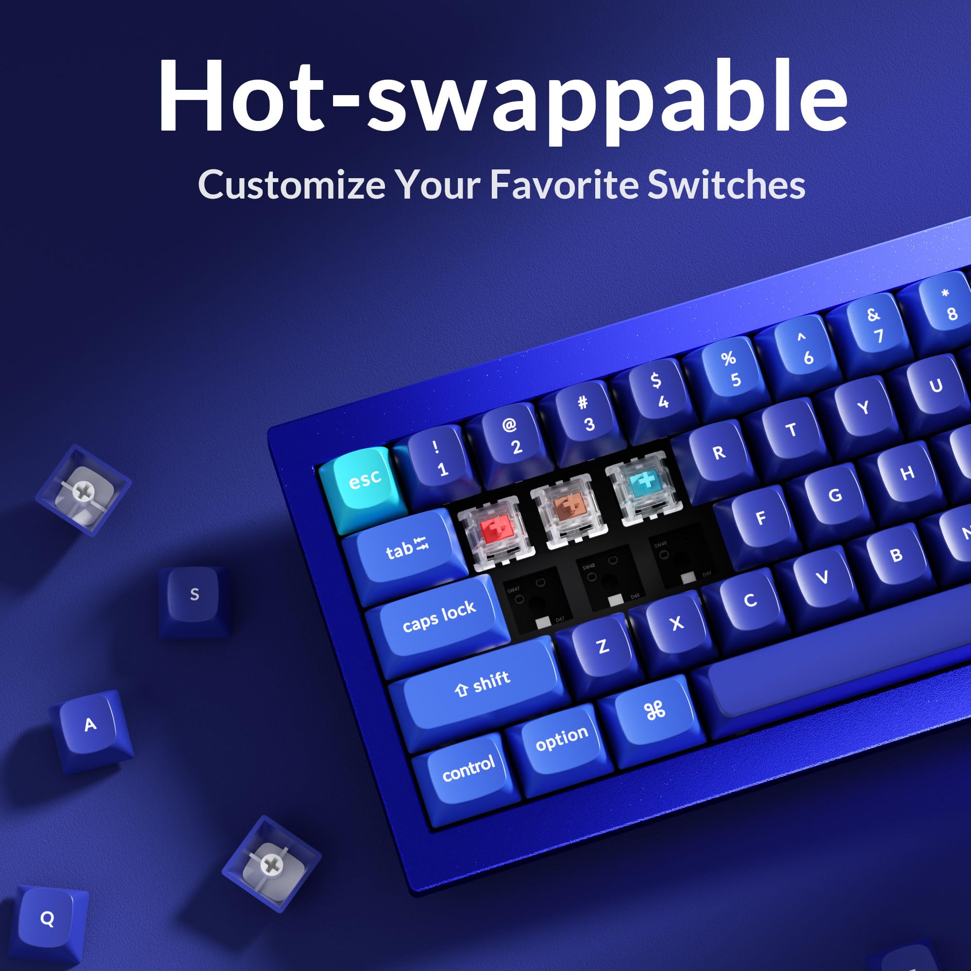 Keychron Q4　VIA RGB Blue Switch アルミキーボード Amazon.in: Buy Keychron Q4 Wired Custom Mechanical Keyboard, QMK