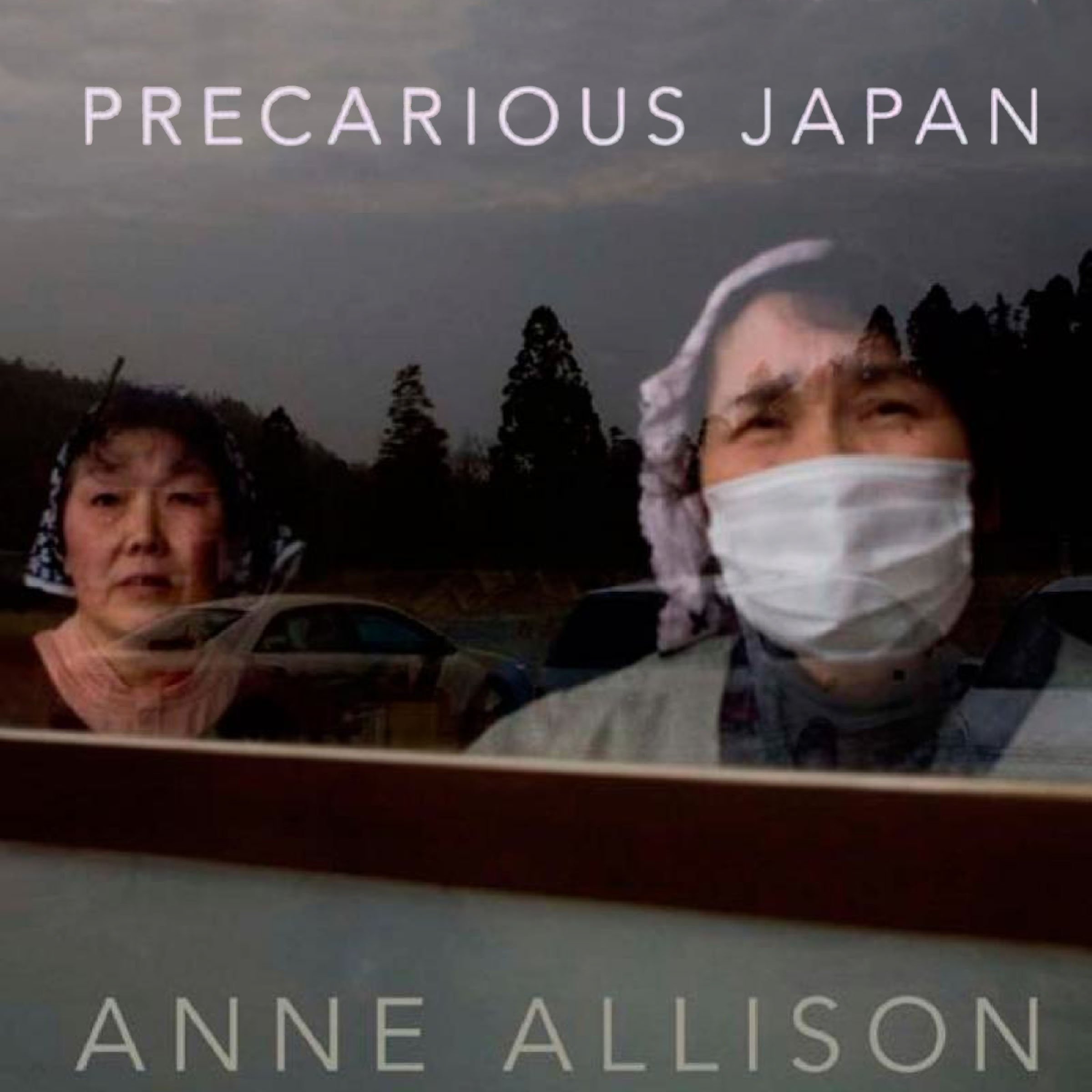 Cover art for Precarious Japan
