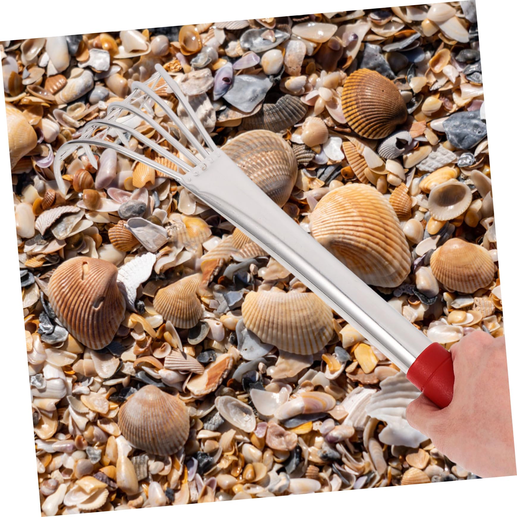2 Stück Edelstahl Strandrechen mit Klauen für Muschelsuche Langlebiges Gartentool zum Graben Am Strand Teiliges Praktisches Greifen von Muscheln und Meerestieren für Outdoor