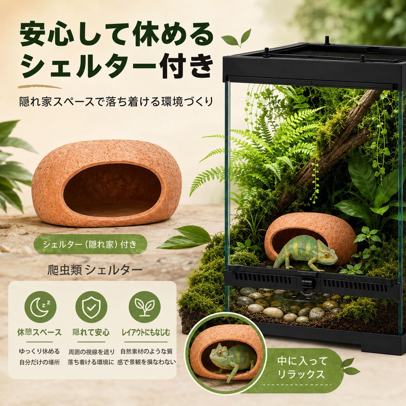 Amazon | Ahgwiu 爬虫類 ケージ ピンセット 温度湿度計 ヒーター