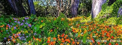 Review Image by Joseph C. Joseph C.