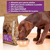 Ver la foto 2
