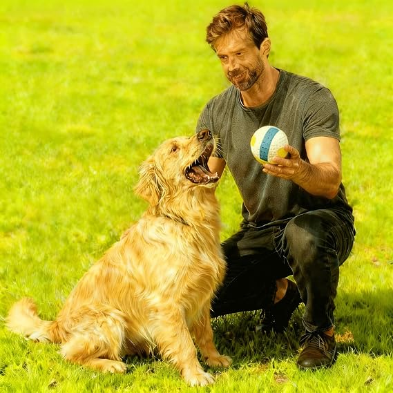 Speedy Panther Large Dog Squeaky Ball Toy, Latex Rubber Fetch Ball, 9 cm, Blue and Yellow
