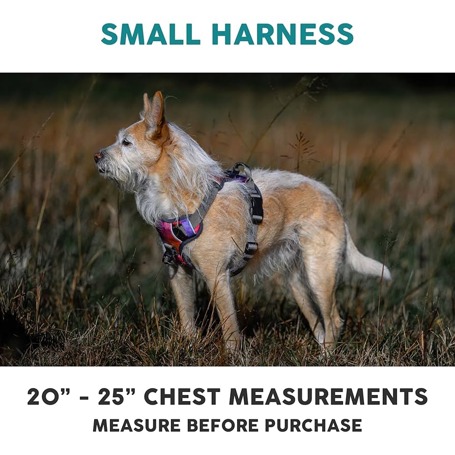 Embark Pets エンバーク　ハーネス　オーロラ　Sサイズ Amazon | Embark Pets（エンバークペット）犬用ハーネス