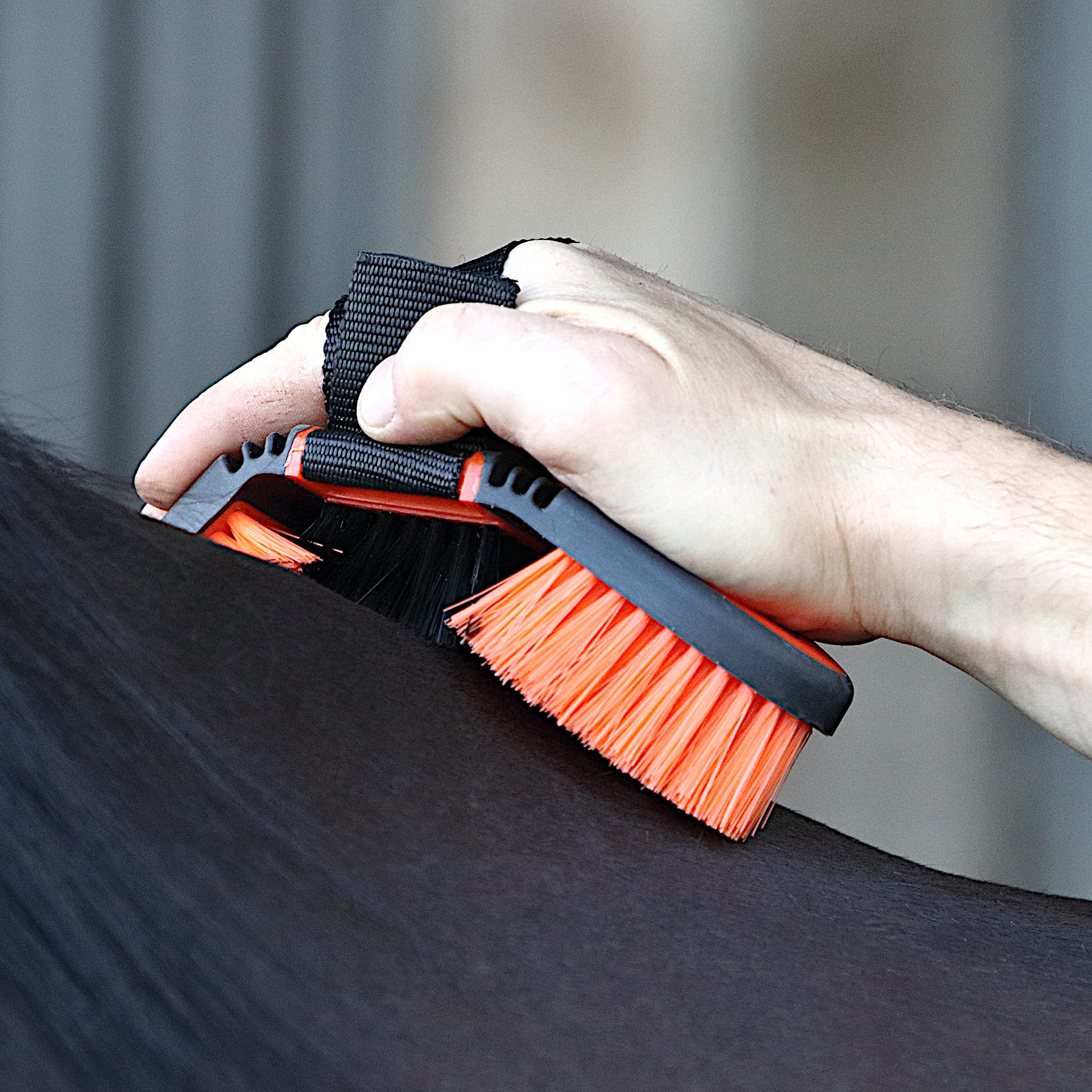 brosse pour chevaux – soin du pelage