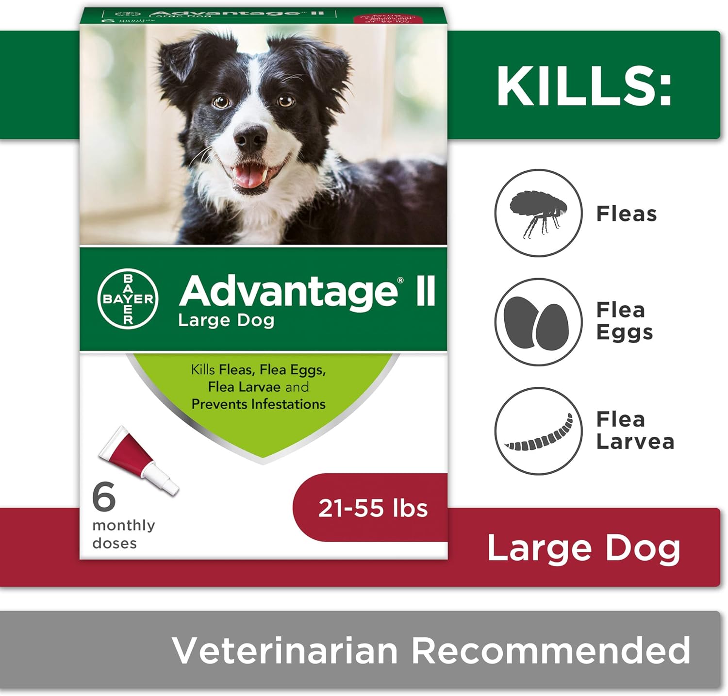 advantage 2 large dog