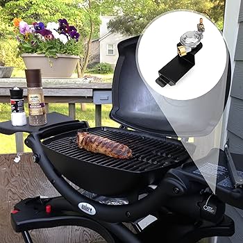 新品 Weber Q 100 ガスグリル 【公式通販】