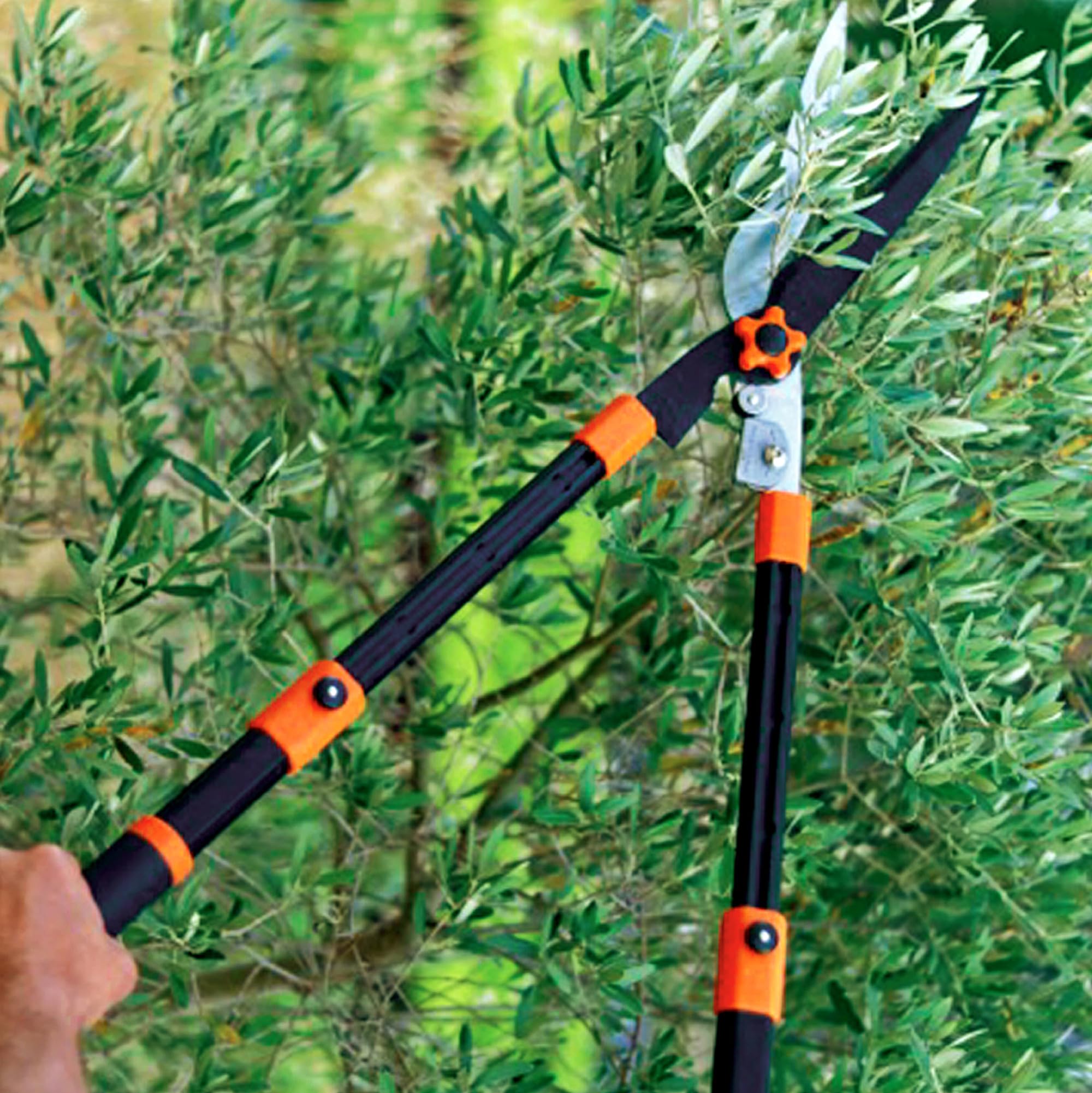 Pack outils : Sécateur à crémaillère + Coupe-branches à crémaillère + Taille-haies