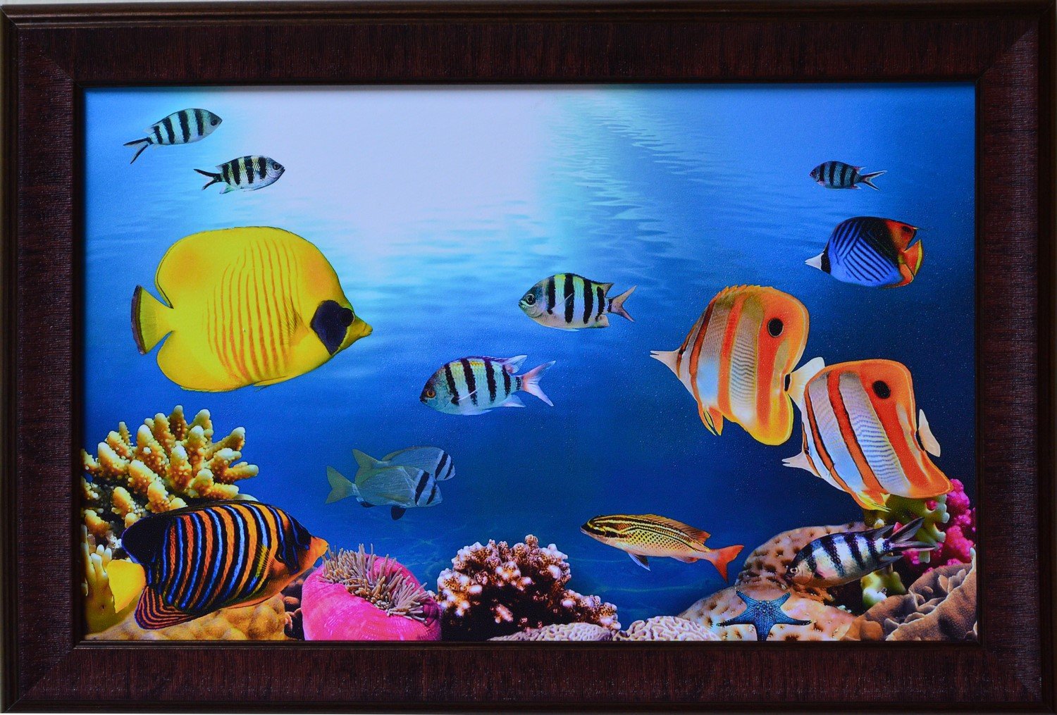 eCraftIndia '3D Sea Life View' UV Art Painting (Synthetic Wood, 51 cm x 36 cm, Blue and Yellow, Satin Matt Texture)