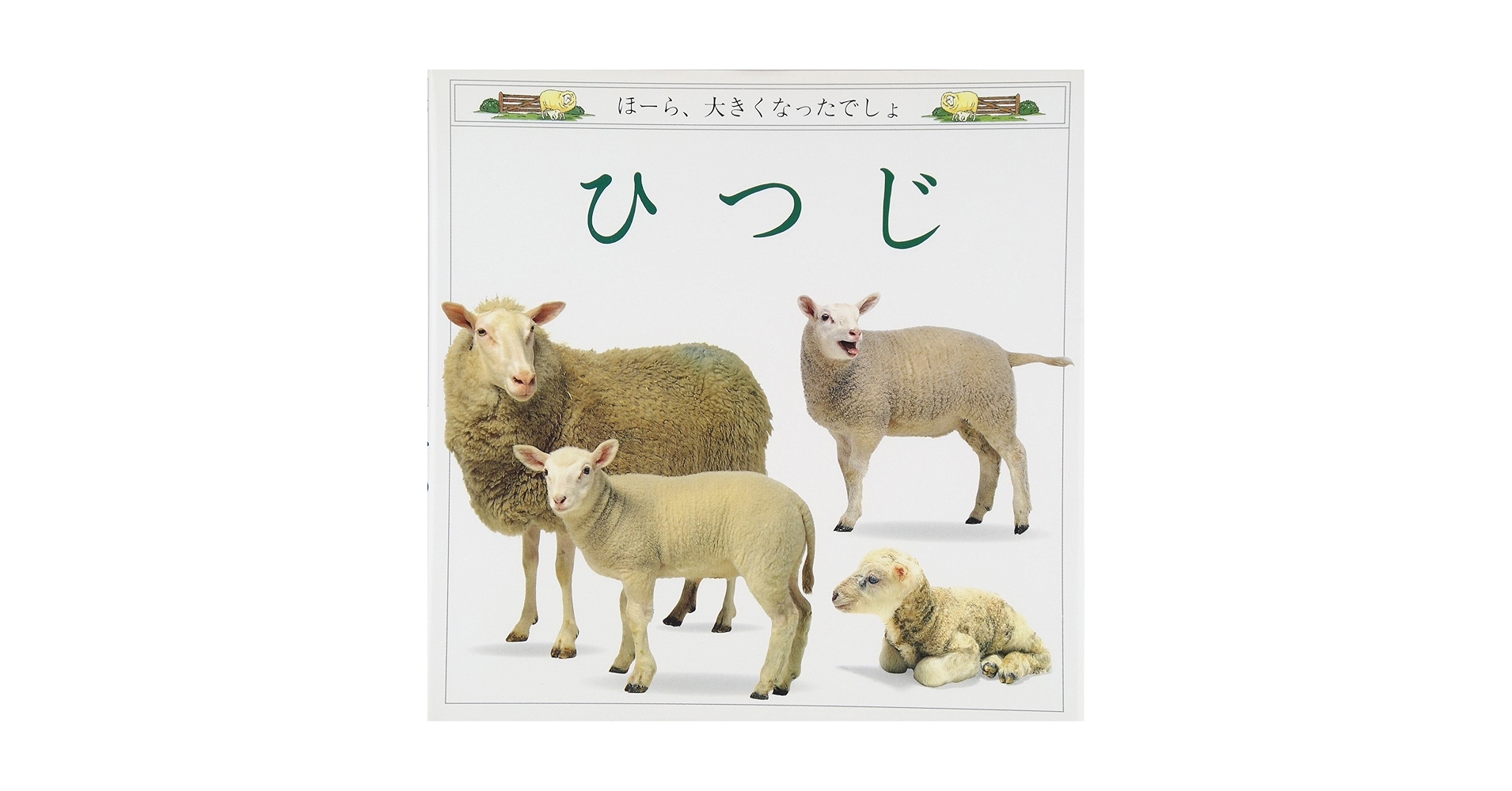 81OPlIC3J5L.jpg_BO30,255,255,