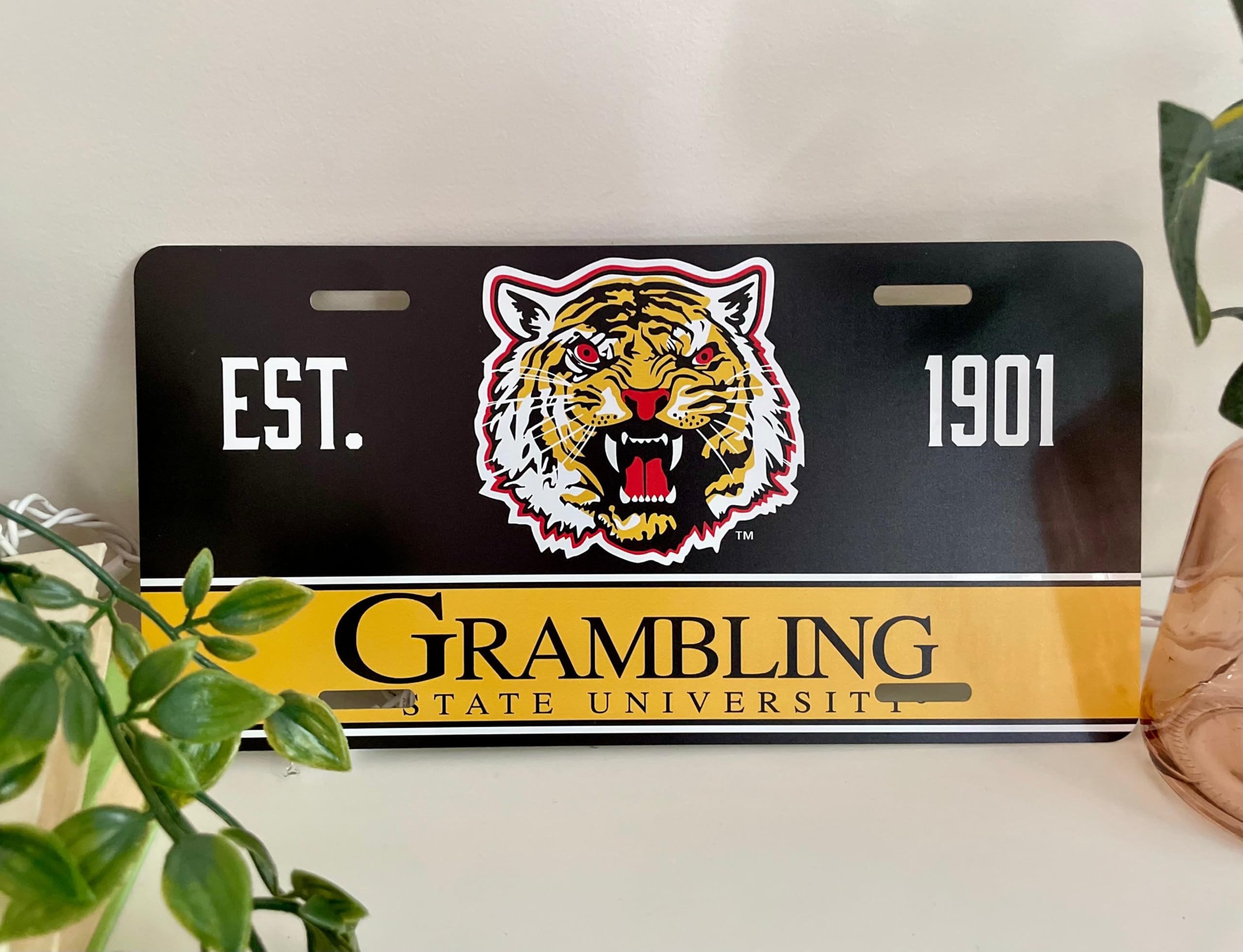 Amazon.com: Scottsdale Arizona Design C Souvenir Metal Plaque