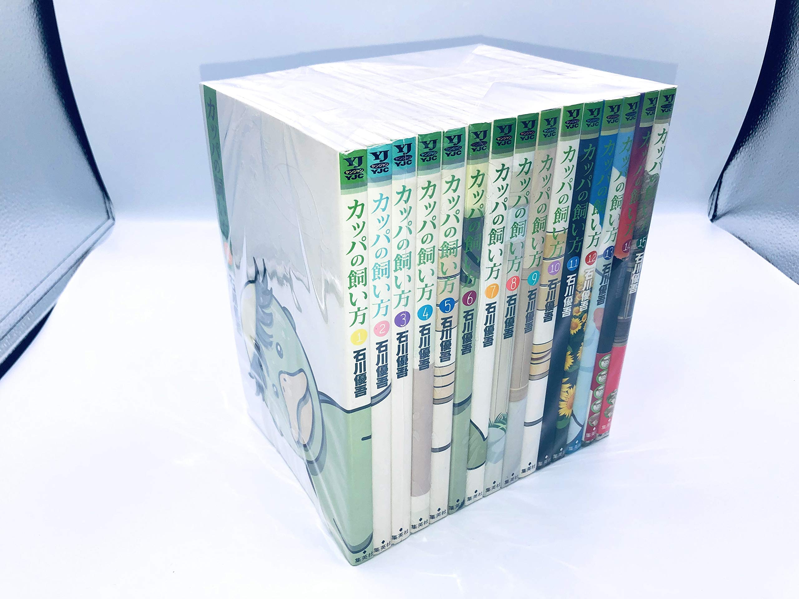 非売品 カッパの飼い方 被り物セット コスプレ 石川優吾 ファンキャップ