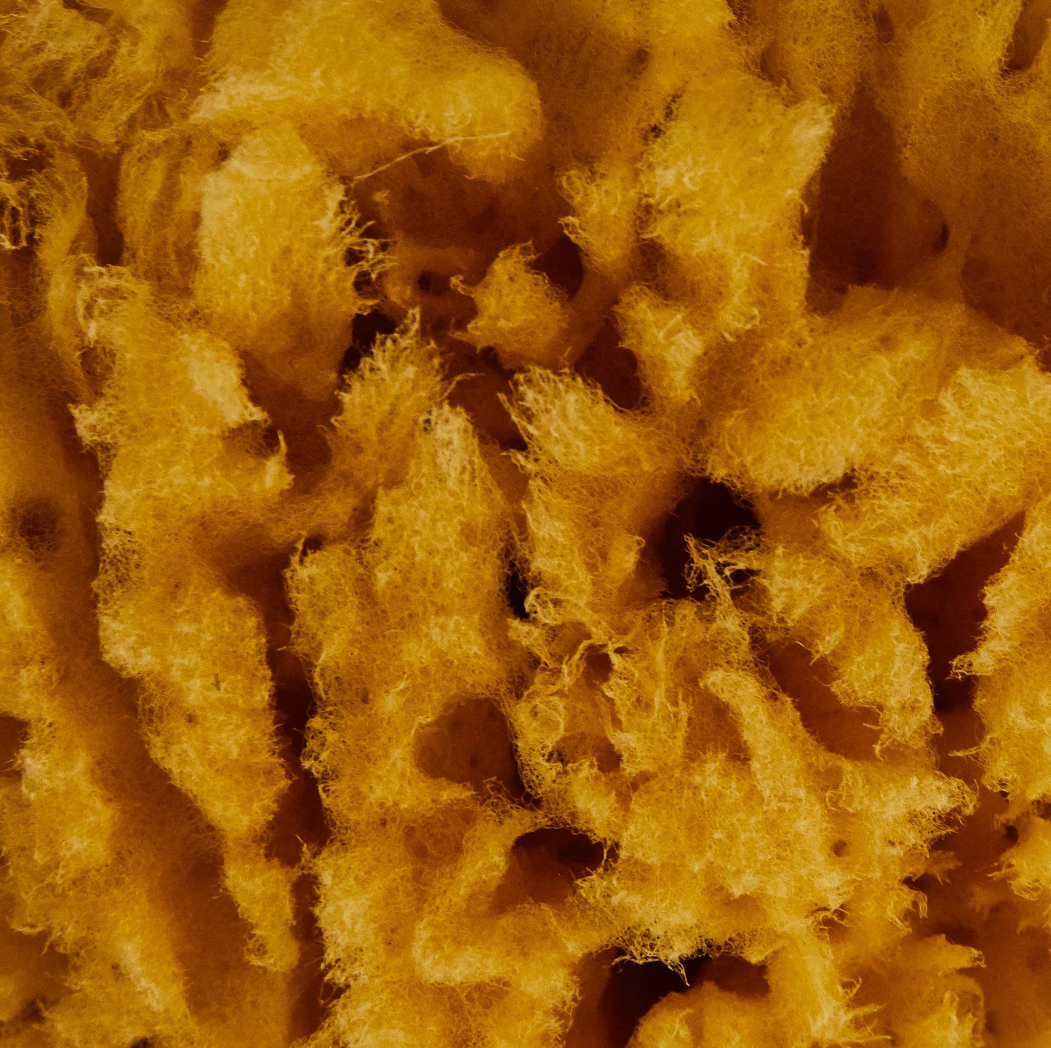 Naturschwamm P130 Premium