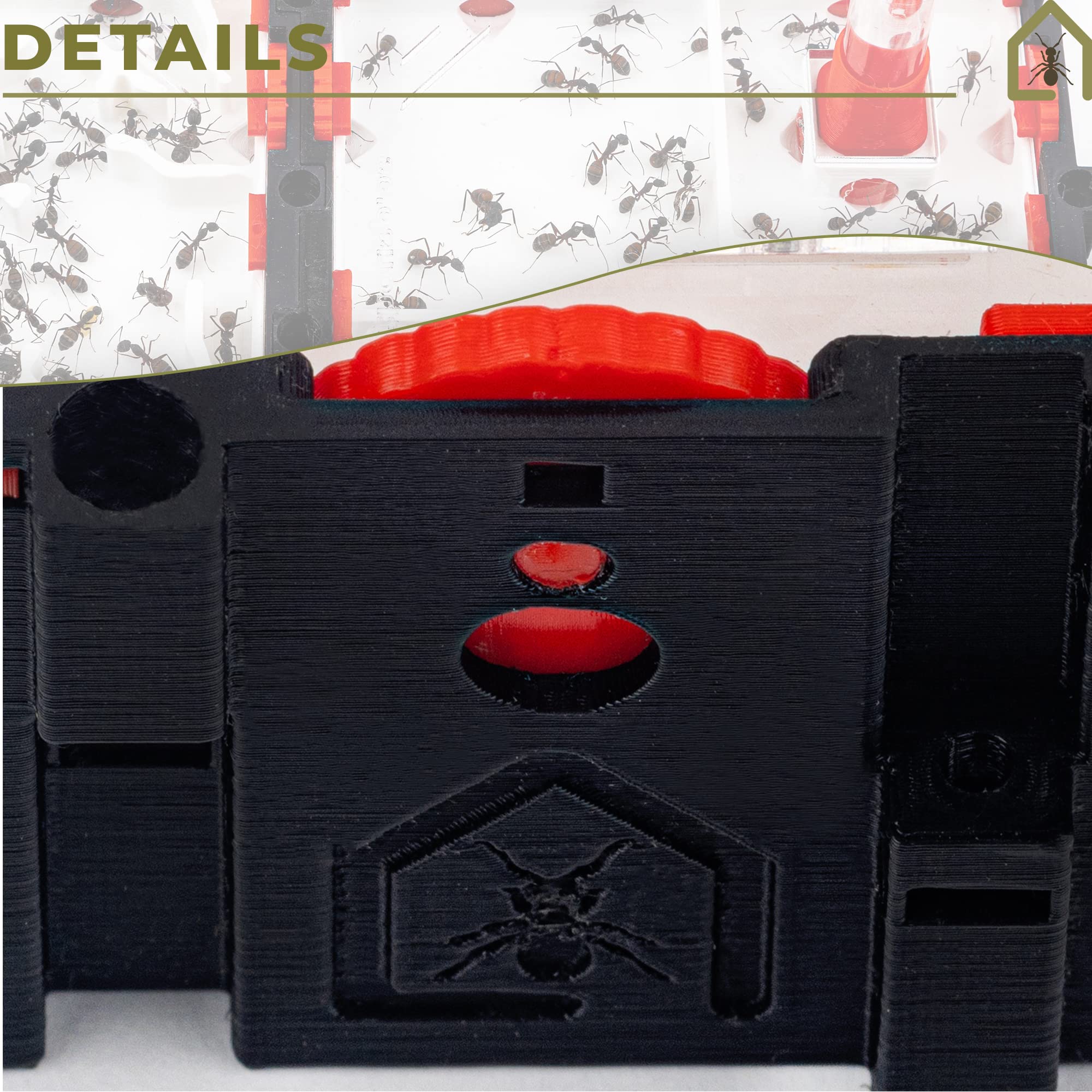 Anthouse.es - Caja de Forrajeo para Hormigueros Modulares 3D - QBIK Nona - Terrario Colonias de Hormigas Grandes - Sistema Ergonómico y Fácil de Ampliar - 18,78x18,78x16,70 cm