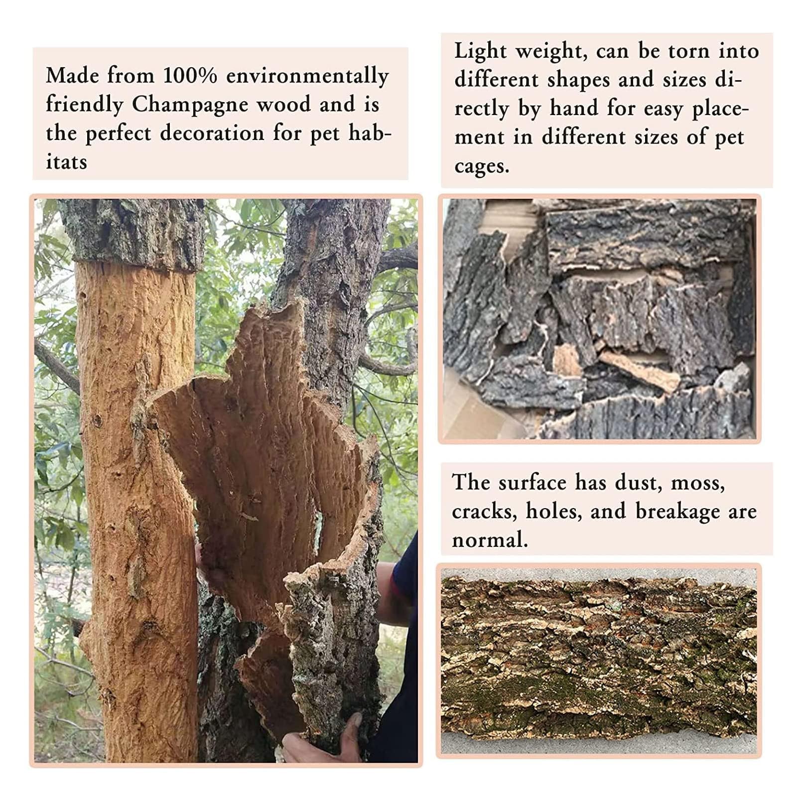 Yardwe Korkrinde Hintergrundplatte 2er Set - 40x25cm Terrarium Dekoration