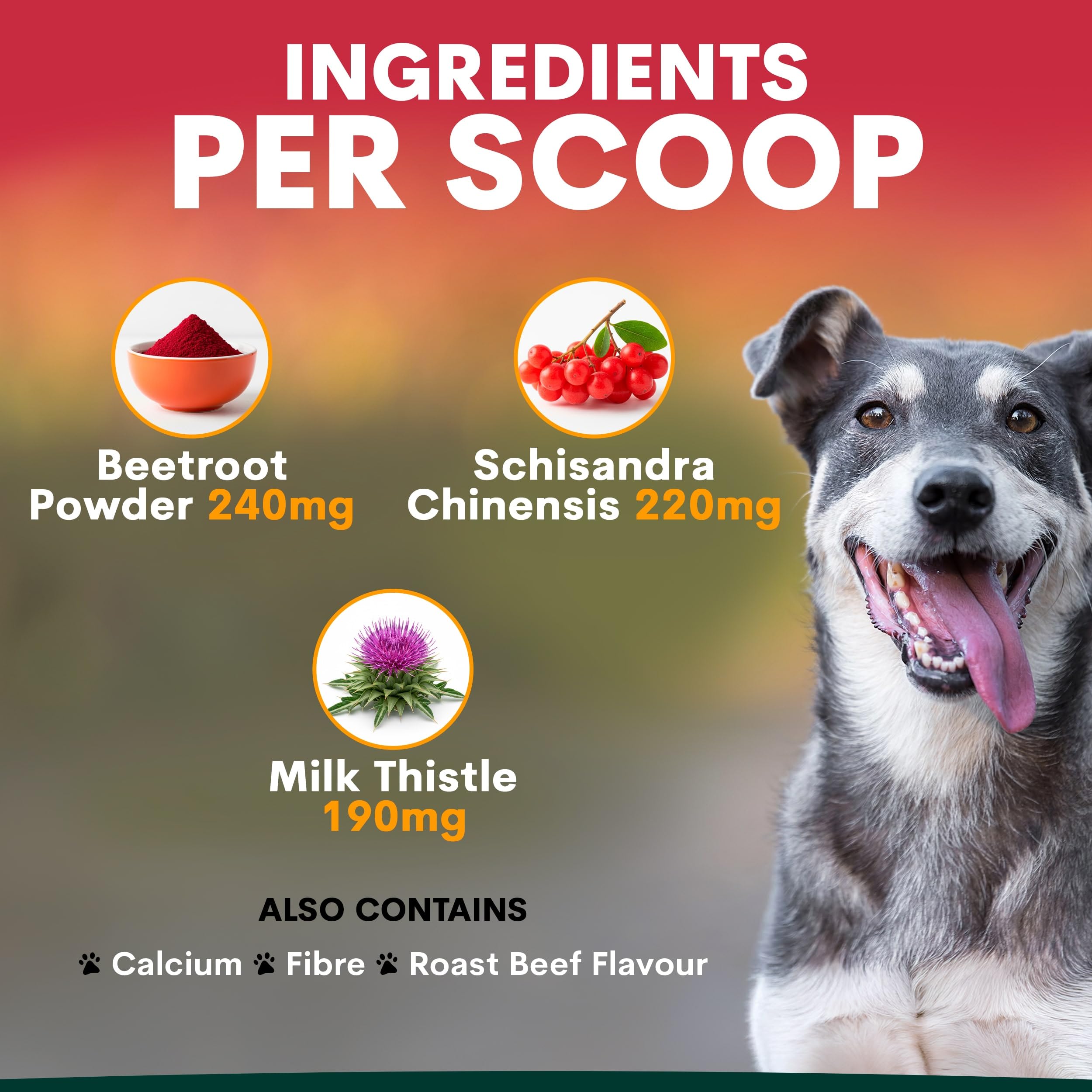 Amazon | ペッツパーク 犬用 肝臓サプリメント リバーサポート | Petz