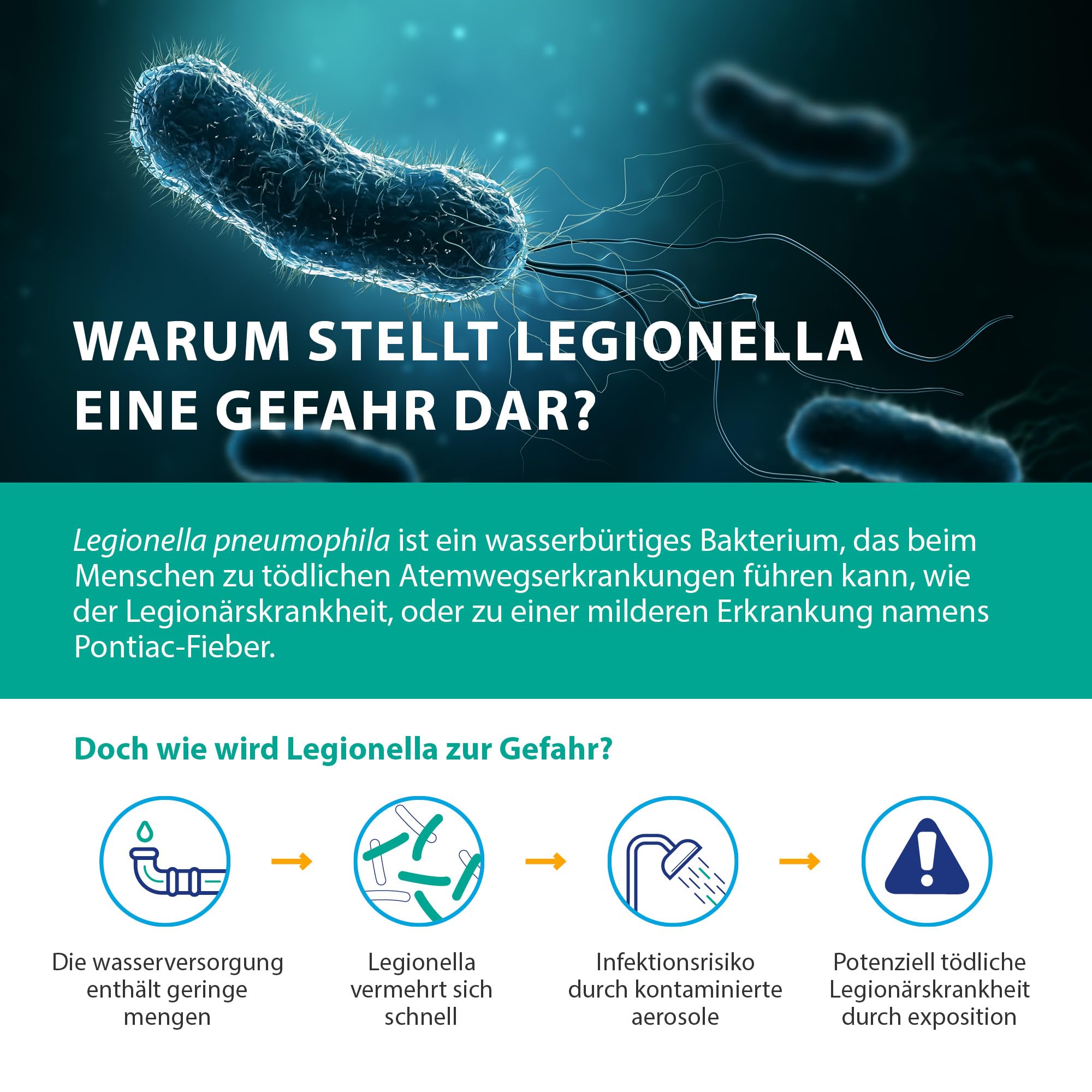 ONE Multi Legionellen-Wassertest – Einzelt test für Legionella pneumophila sg1, Nachweisgrenze 1.000 KBE/L, einfache Vor-Ort-Prüfung
