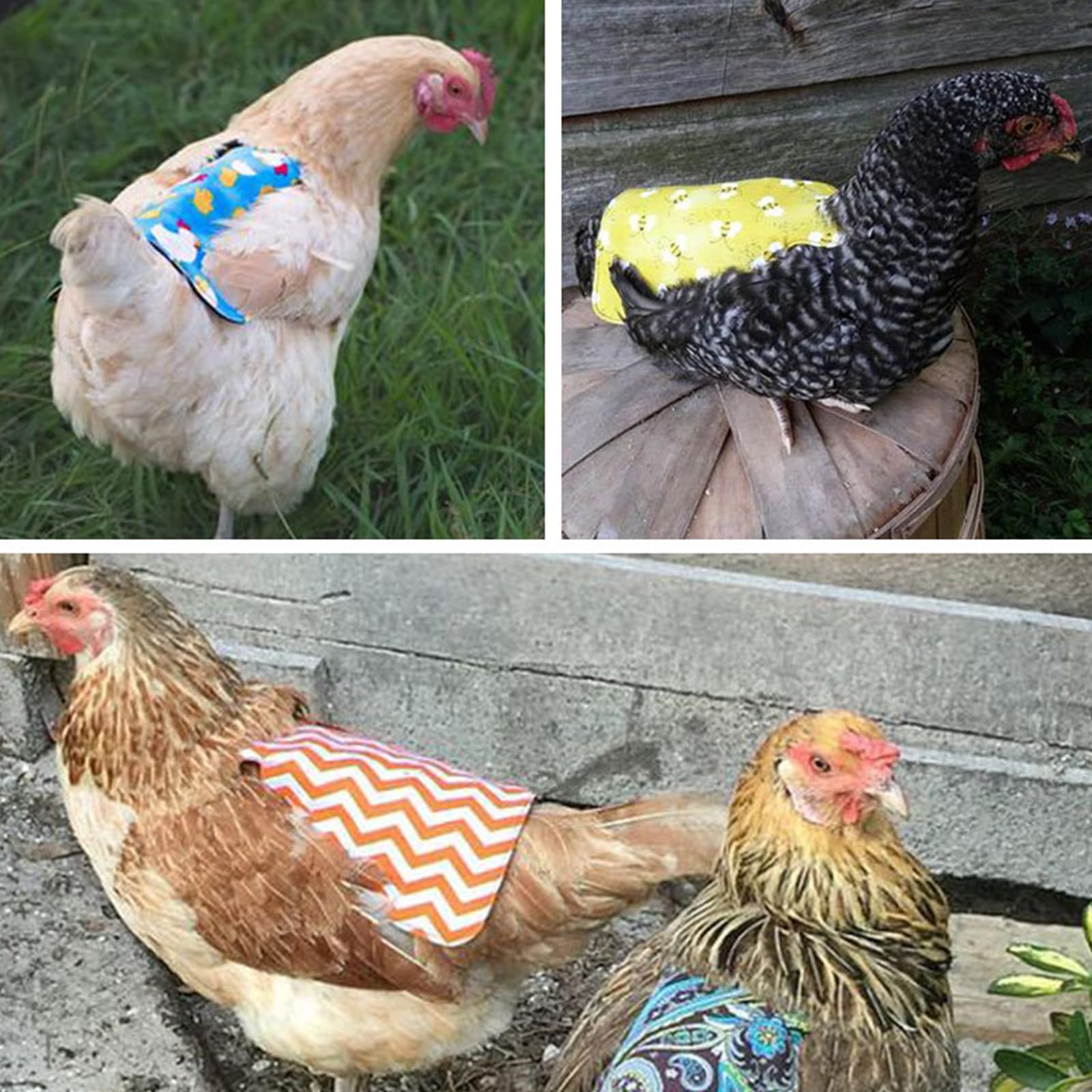 Delantal Pollo Silla de Montar,Suministros para Cuidado Gallinas,Correas para Chaqueta de Pollo,Protector de ala de Gallina,Protección para la Espalda de Gallinas,Sillín de Pollo,Sillín de Gallina