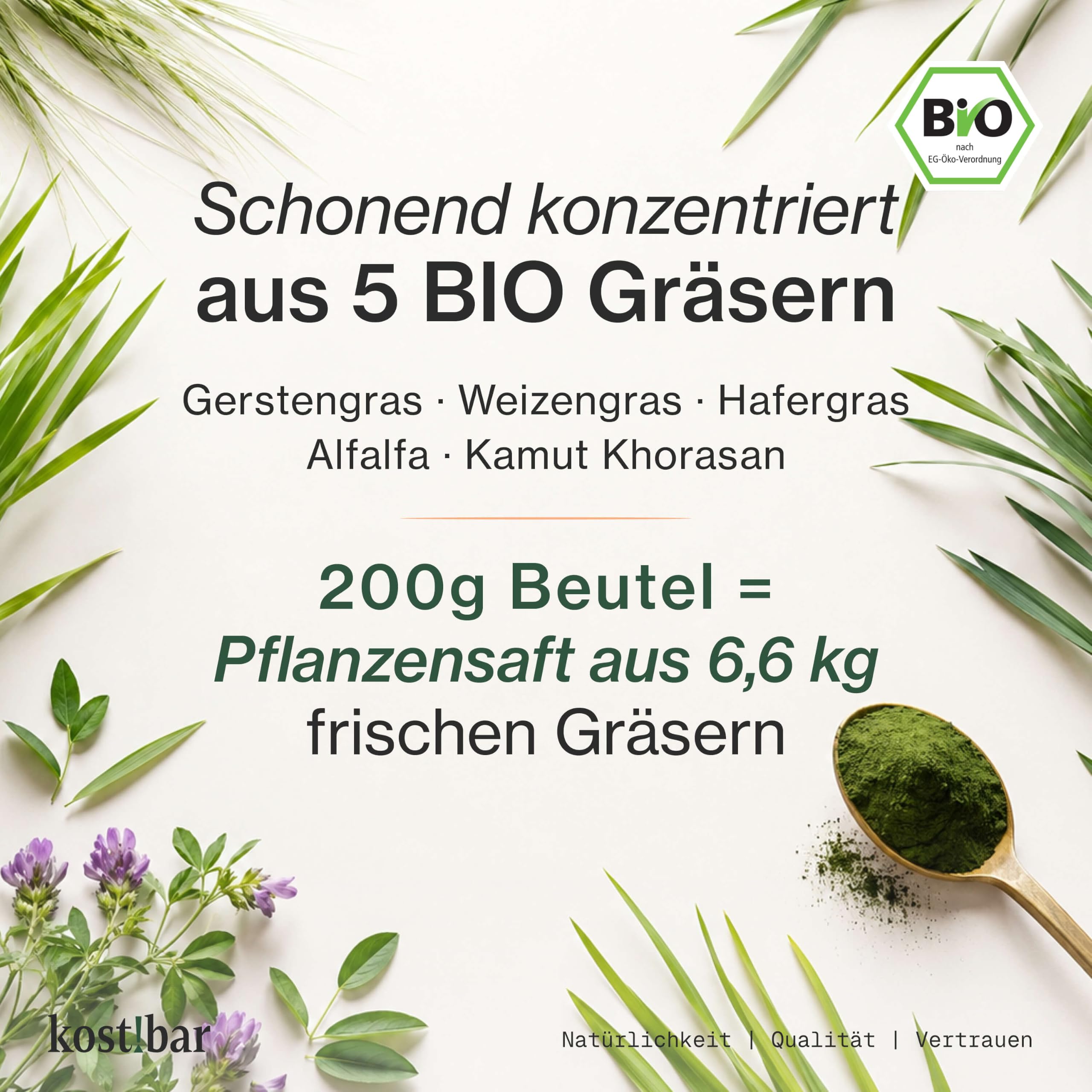 BIO Greens Pulver - Stoffwechsel Helfer - Diät Unterstützung - Hochdosierte Grassaftpulver aus Gerstengras, Weizengras, uvm. - 60 Superfood Smoothies