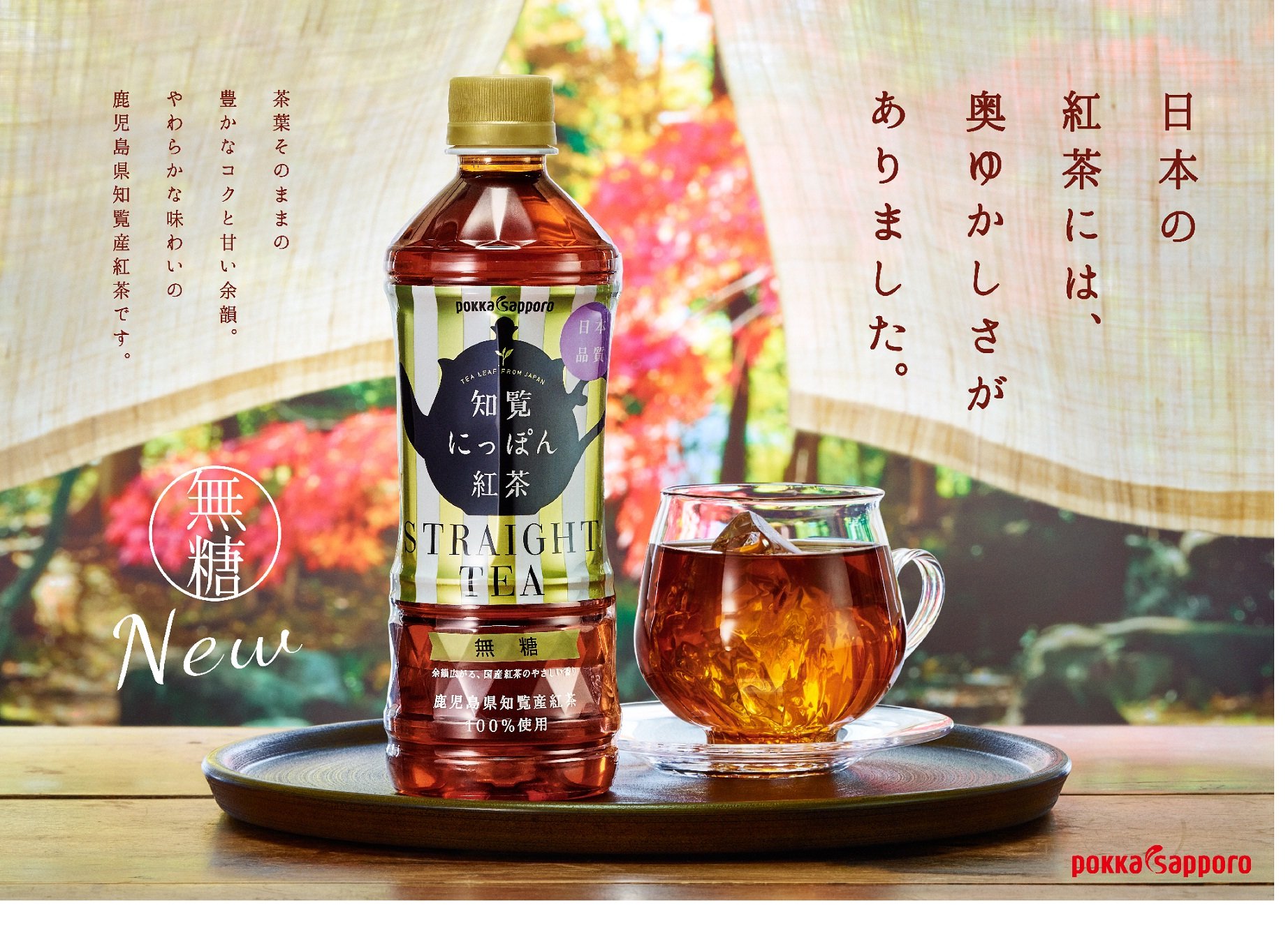 Amazon.co.jp: ポッカサッポロ 知覧にっぽん紅茶 無糖 500ml×24本