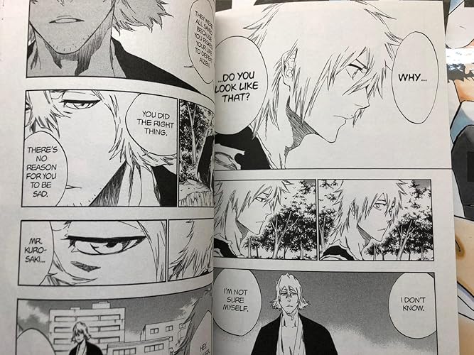 Bleach Box Set 2: Volumes 22-48 with Premium (BLEACH BOX SET VOLS