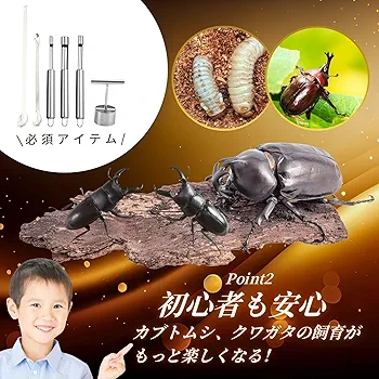 Amazon | Archnote カブトムシ クワガタ 幼虫 菌糸ビン 幼虫