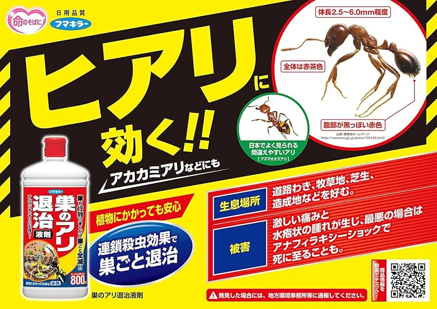 太陽に蟻 太陽に蟻