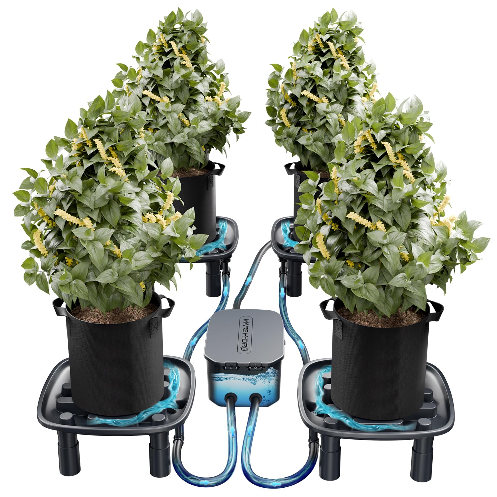 MARS HYDRO Sistema de drenaje automático, 4 cuencos, 1 bomba y 4 sacos de plantas (18,9 L), para cultivar plantas en maceta