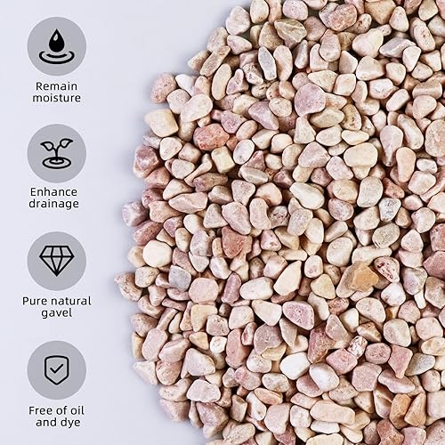 Miniatura 5 de Arena 100% natural, mini arena de sílice blanca multiusos para hogueras, acuarios y paisajismo, 5 libras