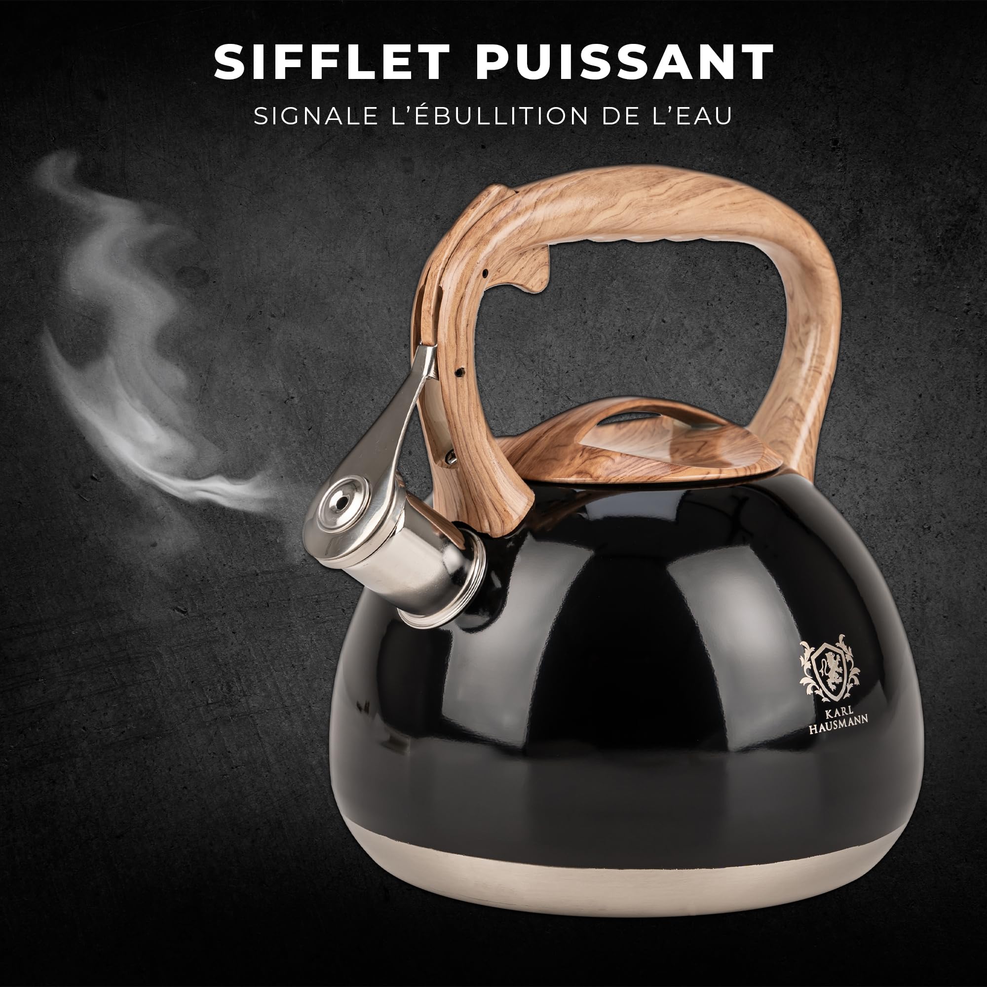 KARL HAUSMANN Bouilloire Inox Noir - 3L - Bouilloire Sifflante - Bouilloir Induction, Gaz - Poignée Résistante à la Chaleur - Bouilloir Traditionnelle Tous Feux - Retro - Théière Gaz Bouilloir