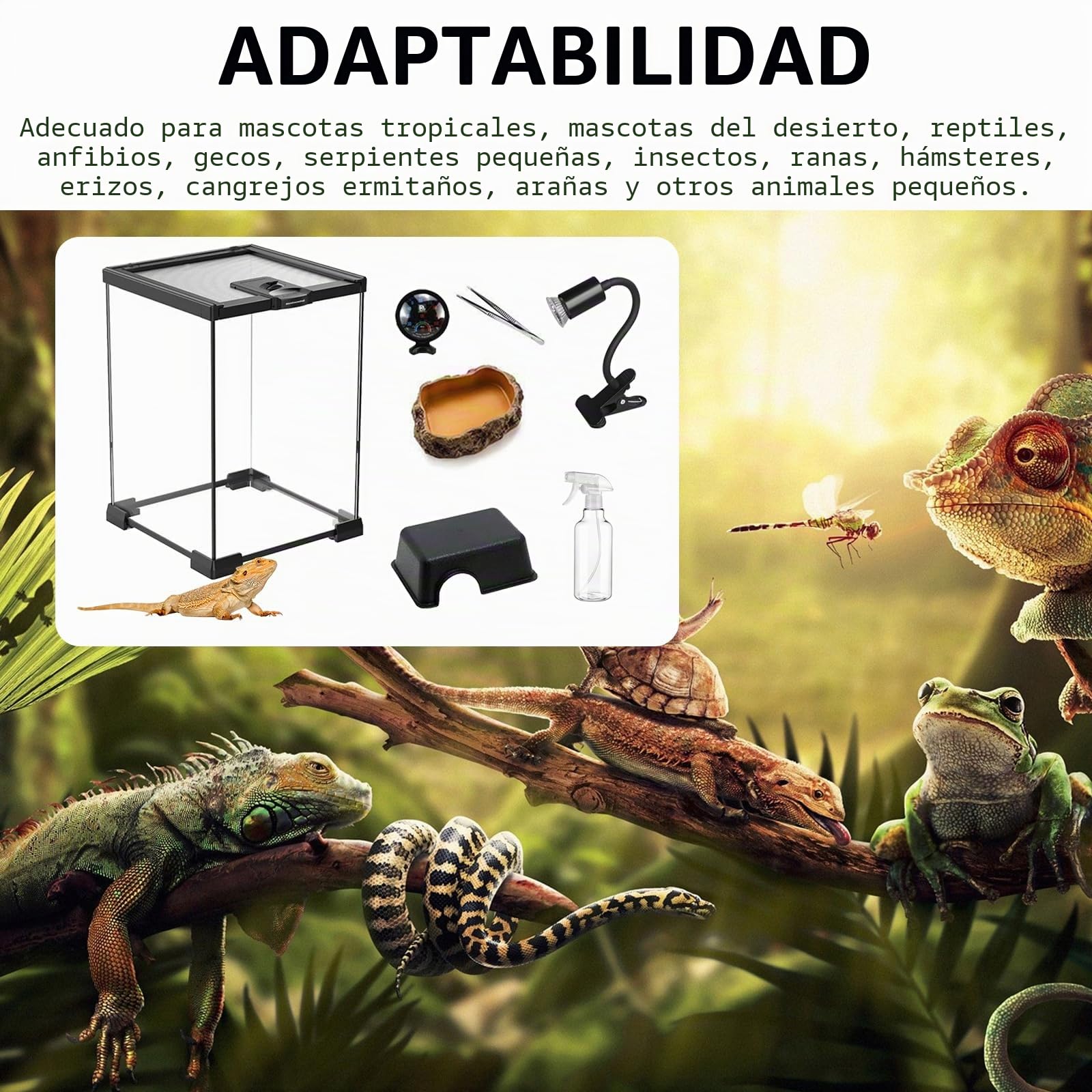 Set de Terrario, Terrario Reptiles de Vidrio de 20 x 20 x 30 cm Kit de Terrarios con Lámpara para Reptiles Termómetro Tanque Pequeño con Diseño de Piedras Comedero Pinzas y Regadera Pequeña