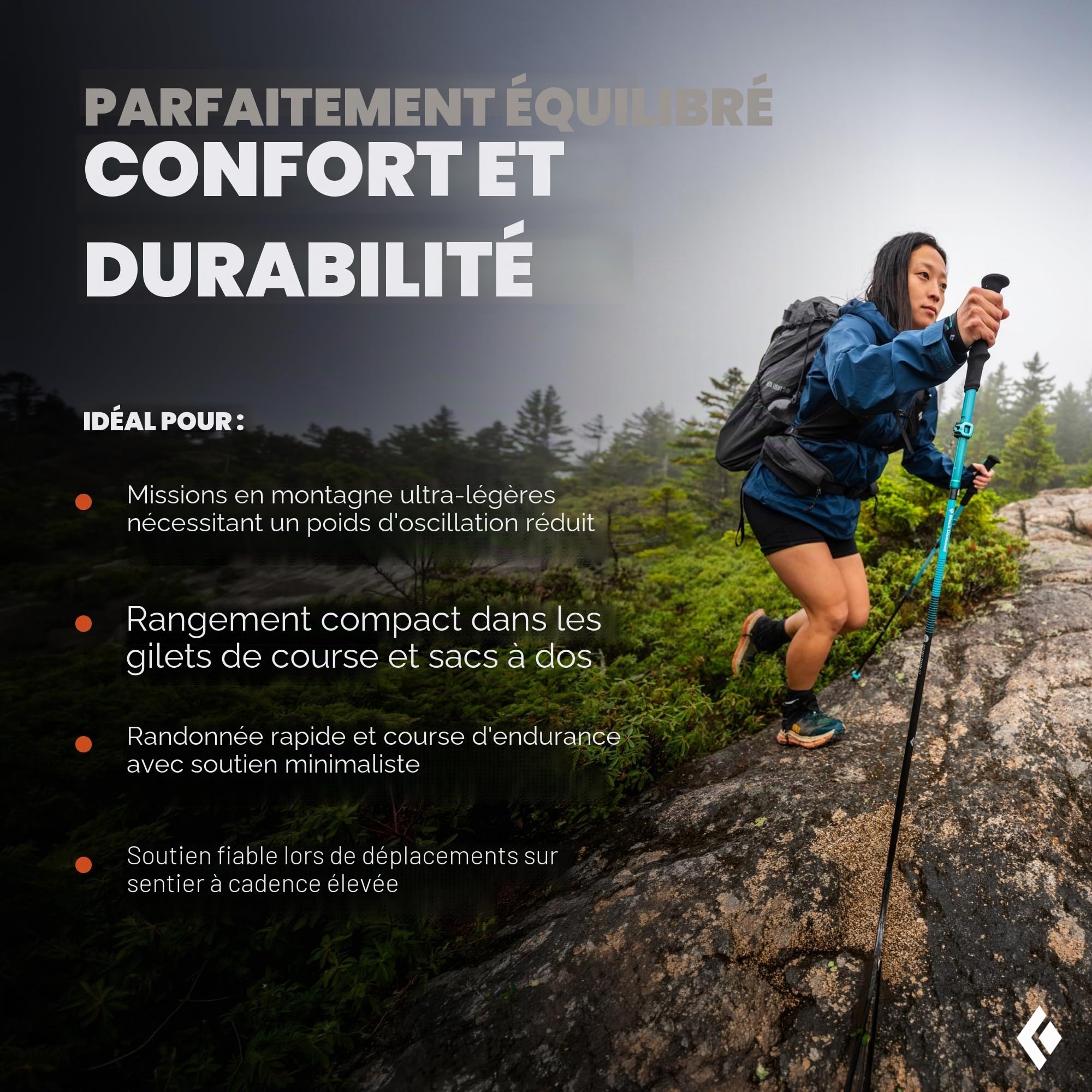 Black Diamond Distance Carbon Z - Bâtons Trail