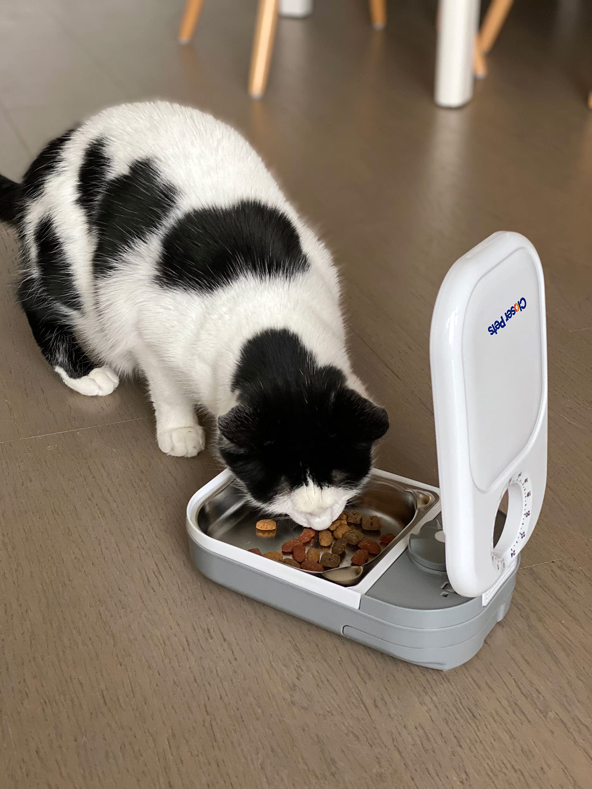 Closer Pets C100 Mangeoire Automatique pour Chats et Petits Chiens avec Insert en Acier Inoxydable